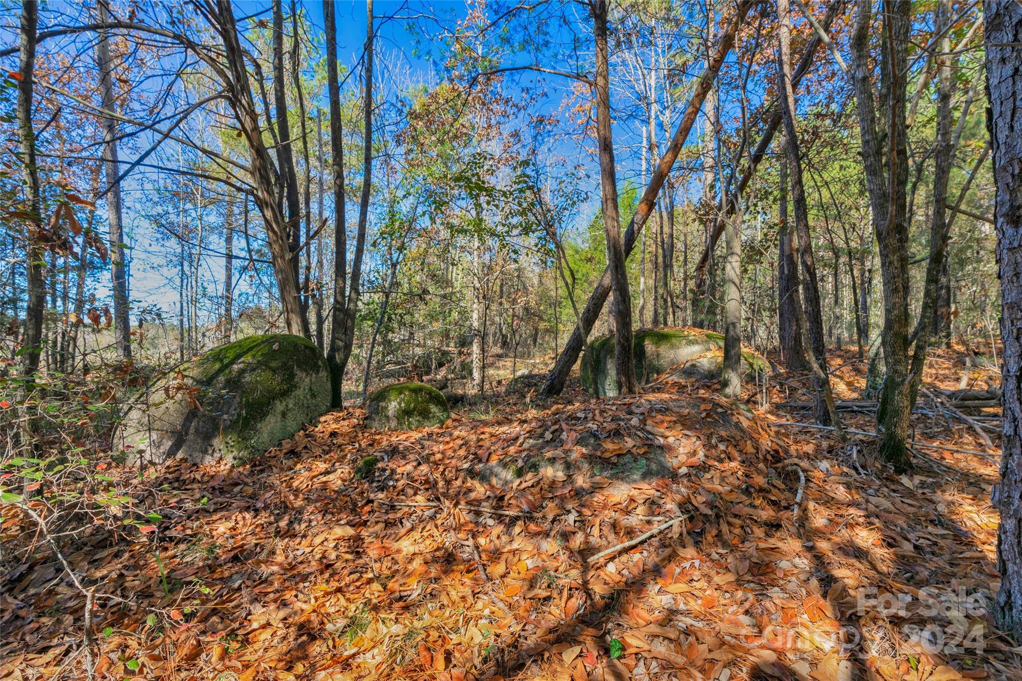 0 Beaker Road, Unit 7 Heath Springs, SC 29058 - Photo 9 of 18 Gallery Image 9