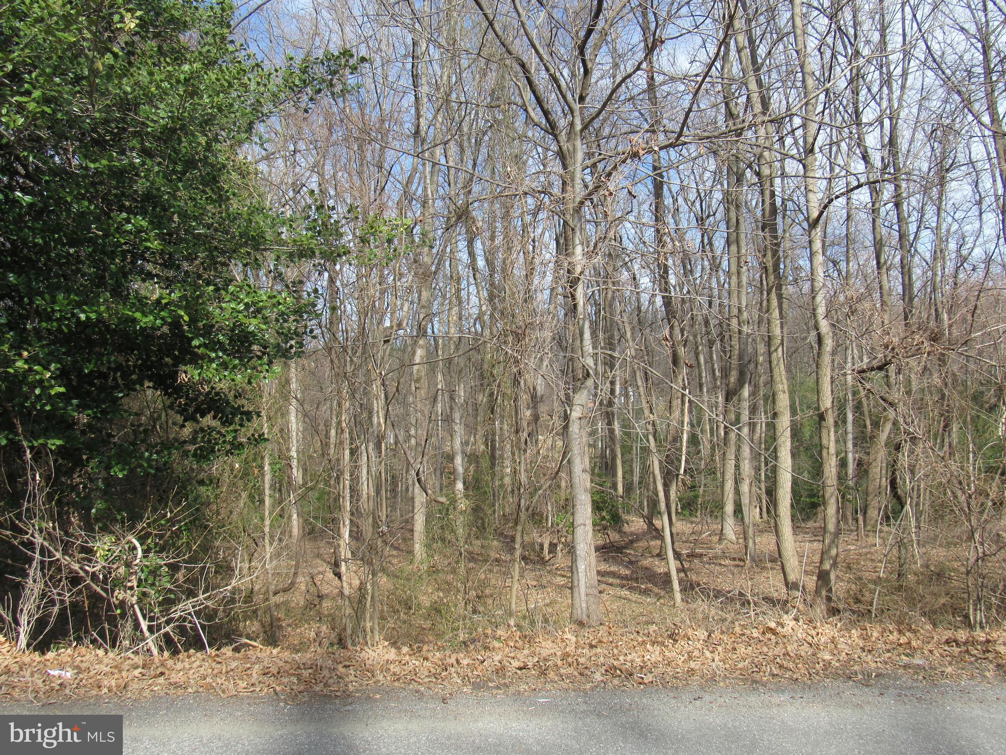 1208 Broadview Road Fort Washington, MD 20744 - Photo 1 of 2 a backyard of a house with plants and large trees