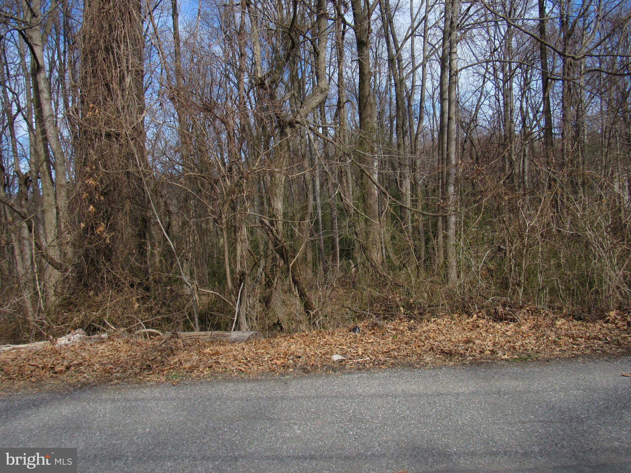 1208 Broadview Road Fort Washington, MD 20744 - Photo 2 of 2 a view of a yard with large trees