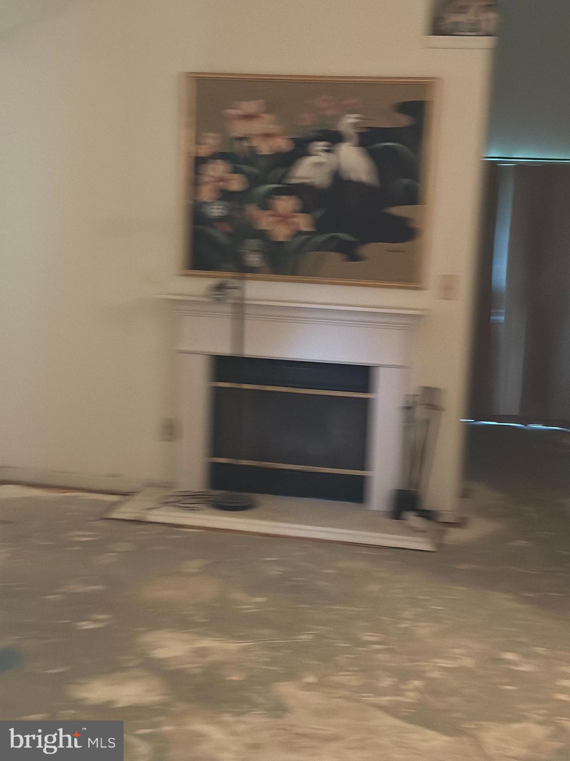 4524 St Thomas Avenue Baltimore, MD 21206 - Photo 7 of 7 a living room with a fireplace