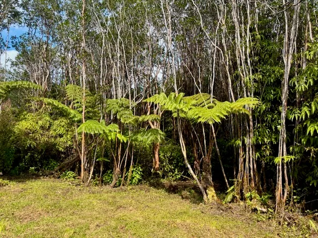 $35,000 | 18-4063 Lot 200 Kanahele Place, Mountain View, HI 96771