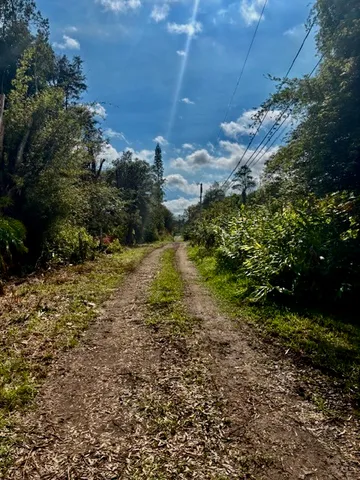 $35,000 | 18-4063 Lot 200 Kanahele Place, Mountain View, HI 96771