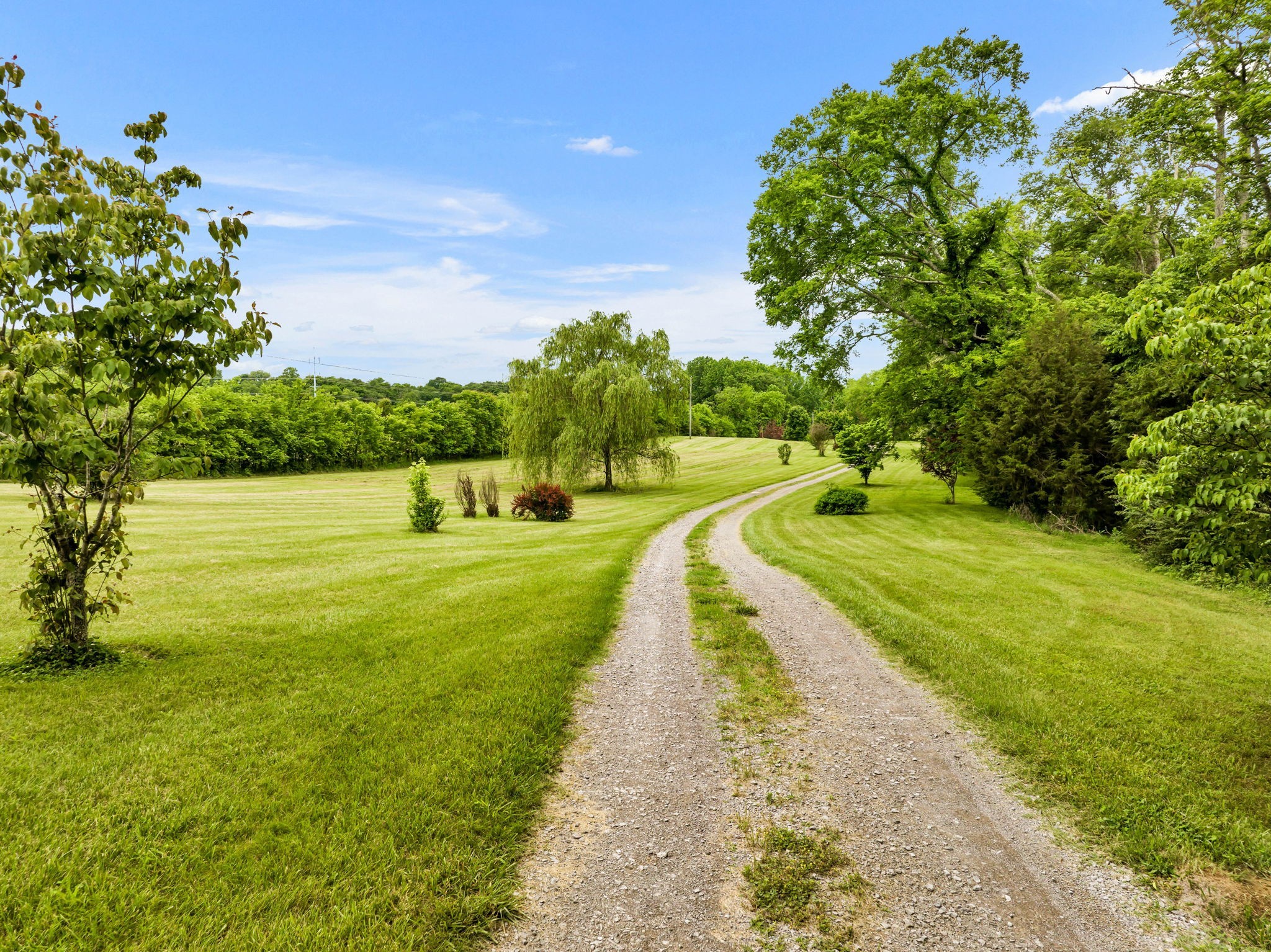 8239 Hawkins Road College Grove, TN 37046 - Photo 4 of 48 Gallery Image 4