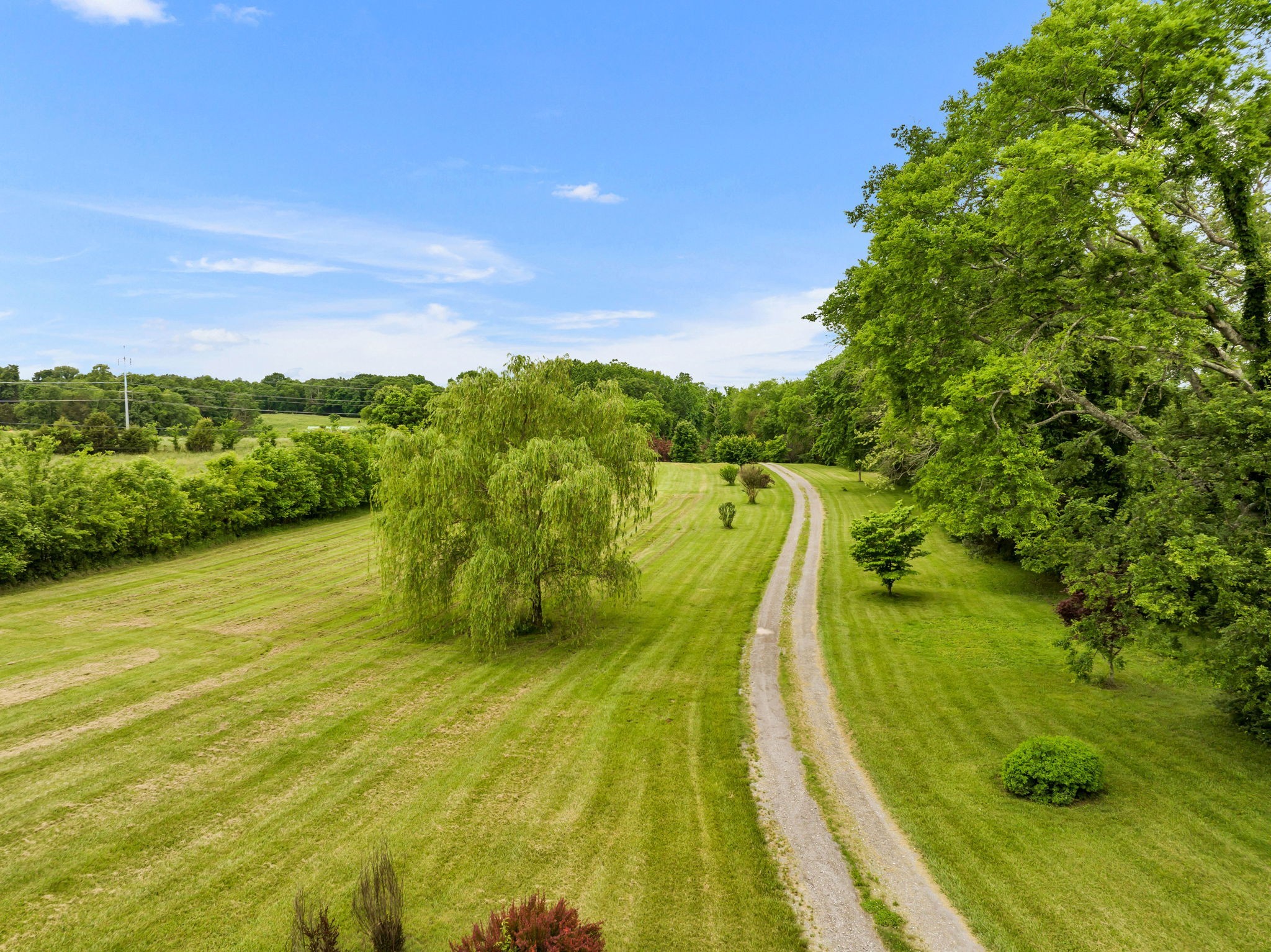 8239 Hawkins Road College Grove, TN 37046 - Photo 42 of 48 Gallery Image 42