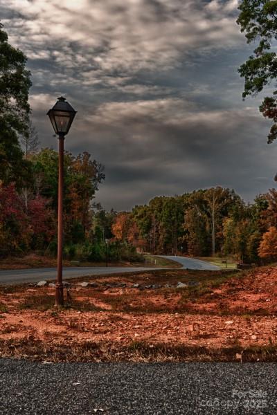 5125 Barrington Ridge Drive Indian Land, SC 29707 - Photo 12 of 18 a street view with ocean view