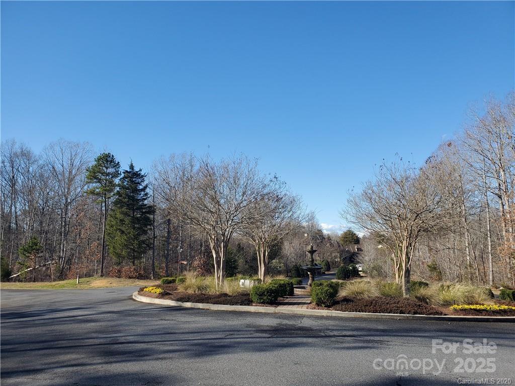 5125 Barrington Ridge Drive Indian Land, SC 29707 - Photo 14 of 18 a view of street with houses