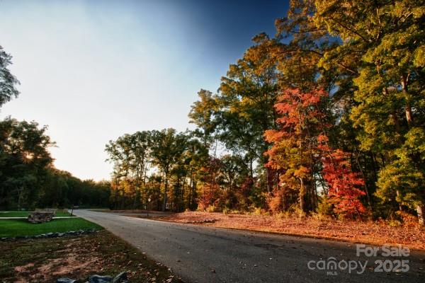 5125 Barrington Ridge Drive Indian Land, SC 29707 - Photo 5 of 18 a view of a yard