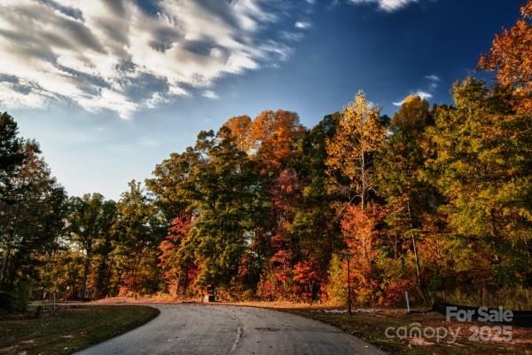 5125 Barrington Ridge Drive Indian Land, SC 29707 - Photo 9 of 18 a view of a bunch of trees