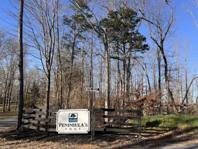a view of a park that has a tree