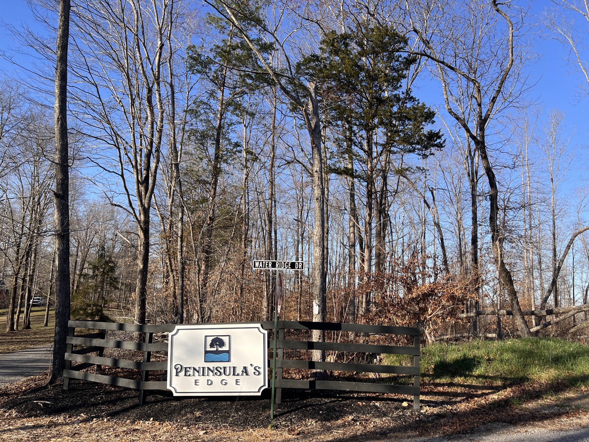 a view of a park that has a tree
