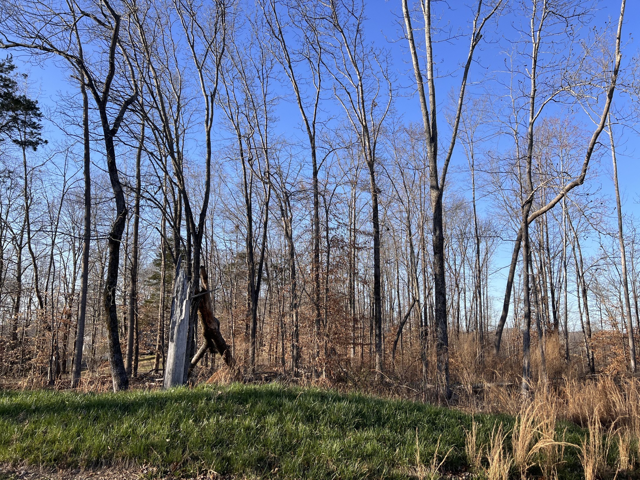 1 Water Ridge Drive Sparta, TN 38583 - Photo 2 of 11 a view of backyard