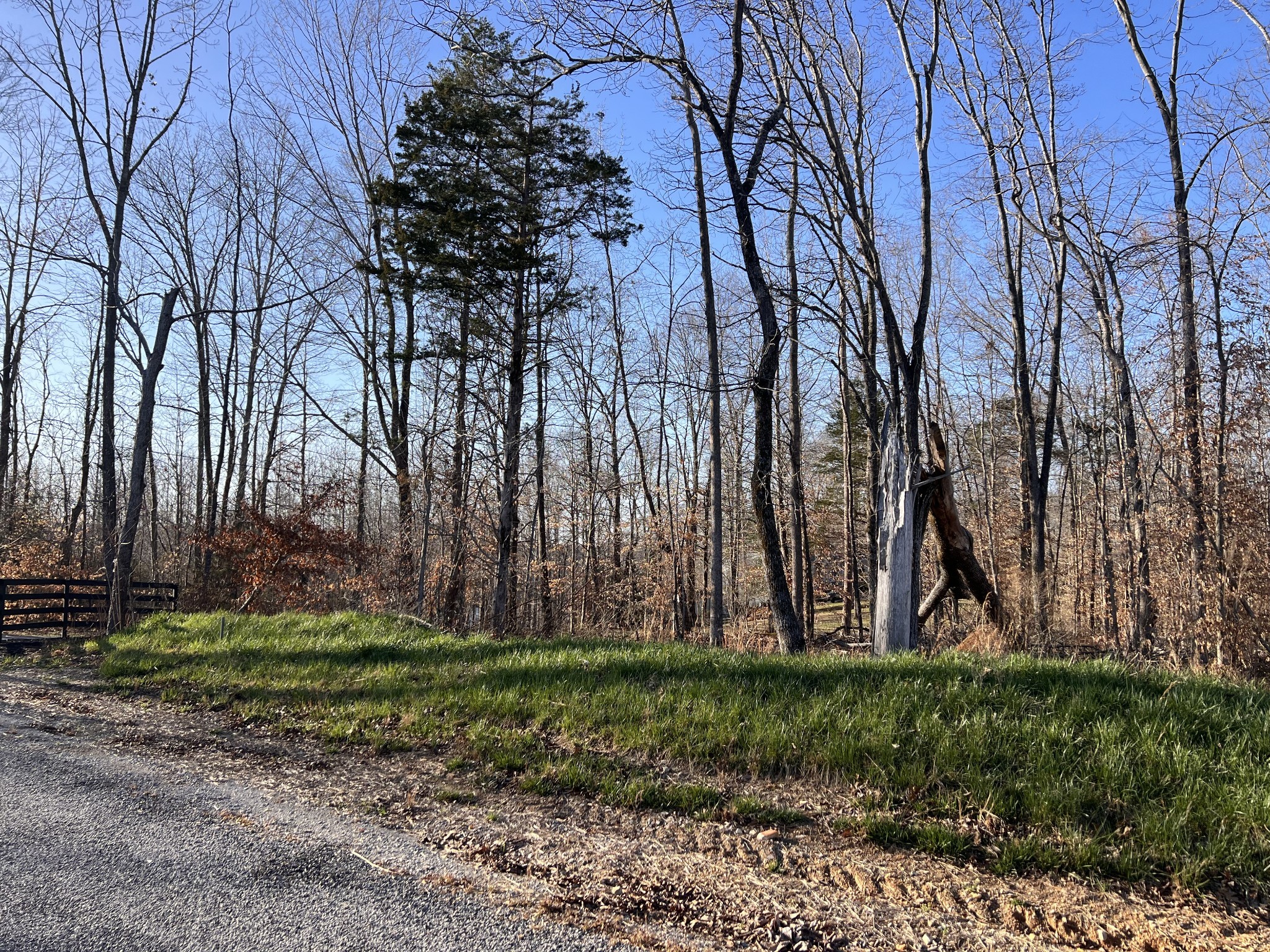 1 Water Ridge Drive Sparta, TN 38583 - Photo 3 of 11 a view of backyard with green space