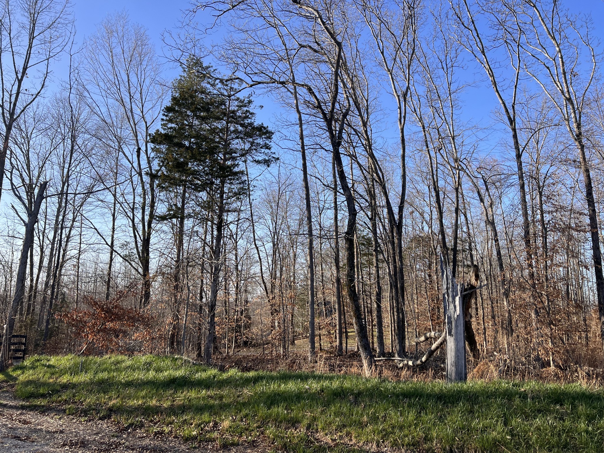 1 Water Ridge Drive Sparta, TN 38583 - Photo 5 of 11 a view of outdoor space with a garden