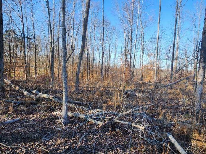 1 Water Ridge Drive Sparta, TN 38583 - Photo 6 of 11 a view of a backyard of the house
