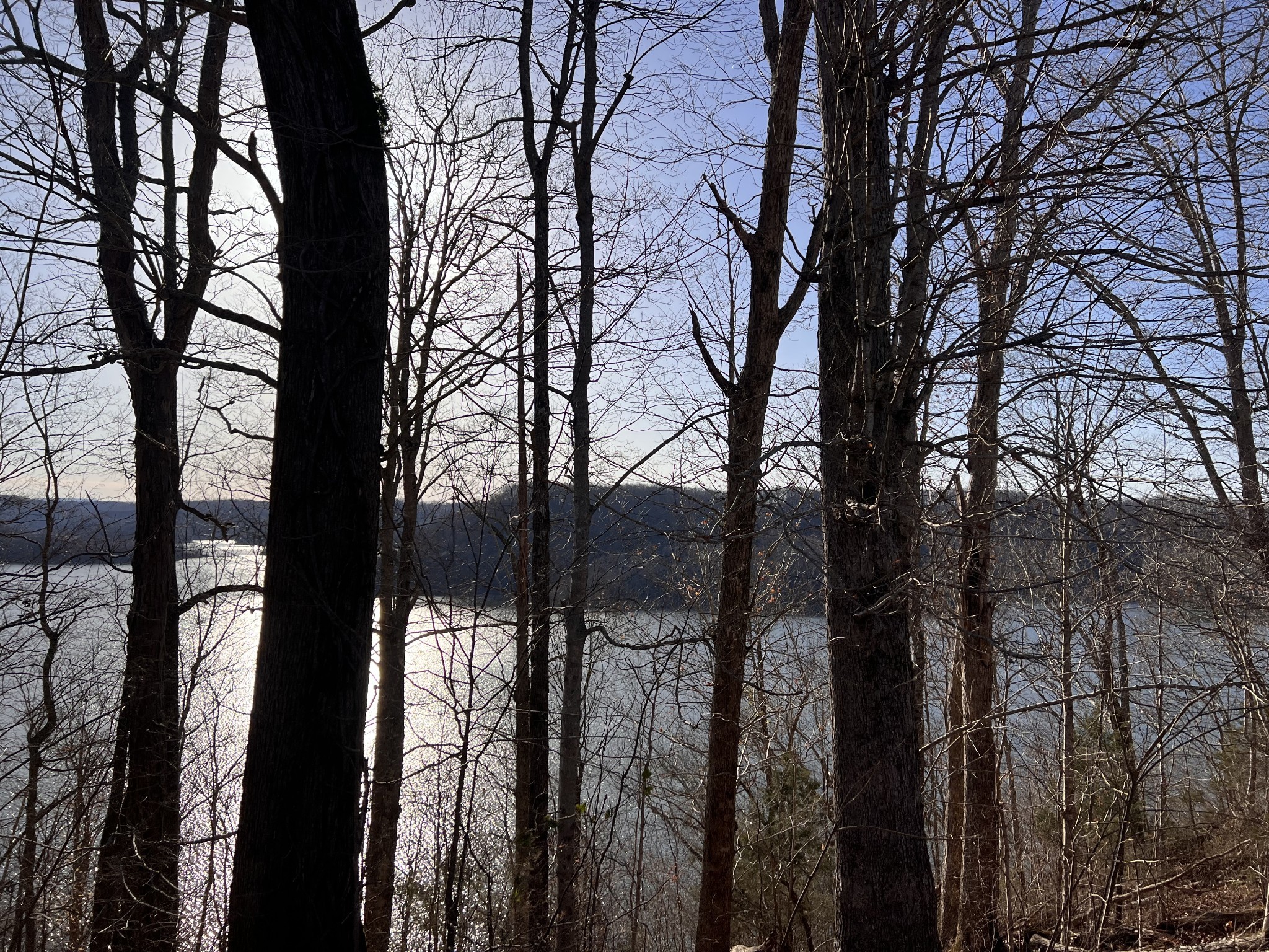 1 Water Ridge Drive Sparta, TN 38583 - Photo 9 of 11 a view of a outdoor space