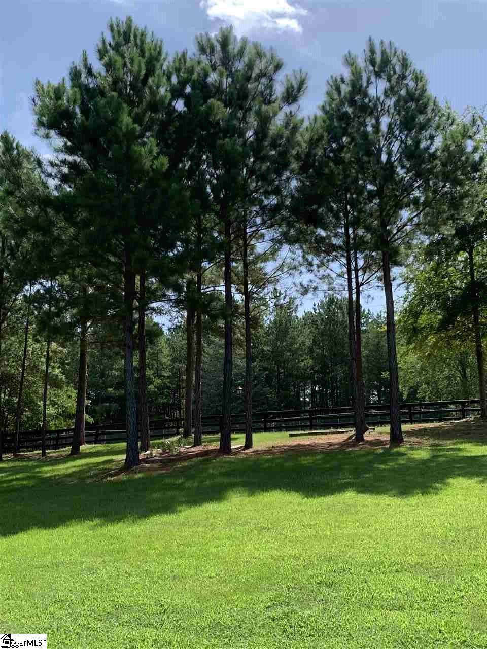 1102 Dillard Road Waterloo, SC 29384 - Photo 3 of 25