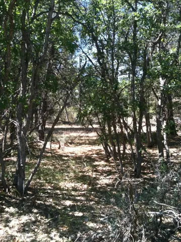 $52,000 | Undisclosed Address, Fall River Mills, CA 96028