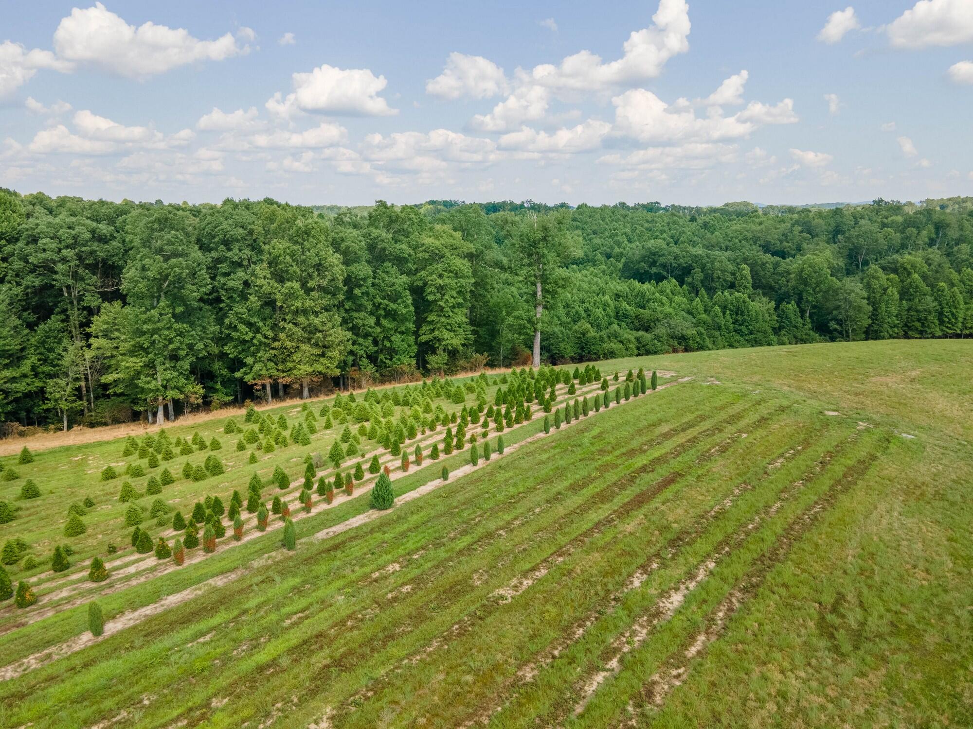 8599 Keavy Road Keavy, KY 40737 - Photo 9 of 29 43 - DJI_0037-HDR