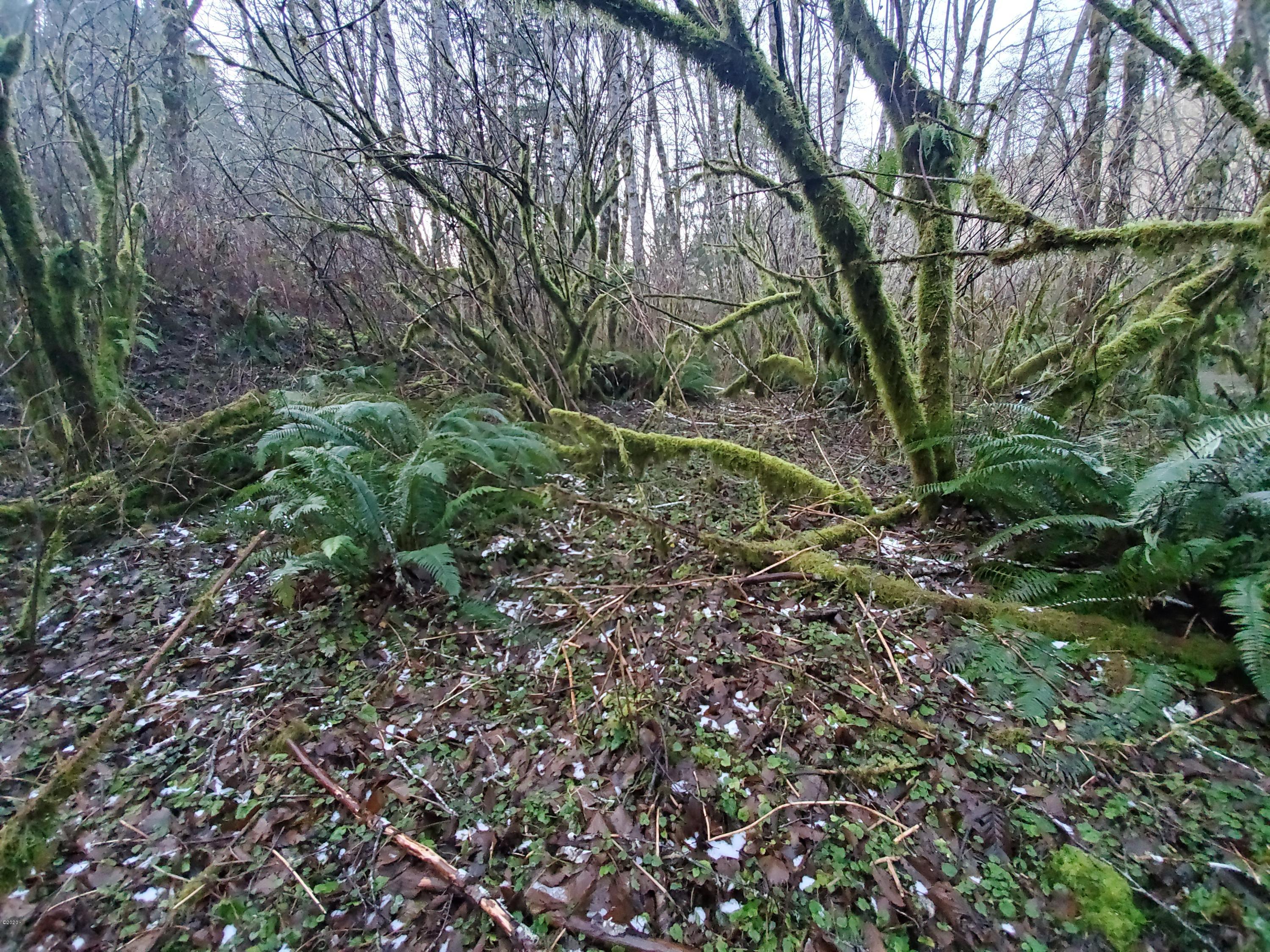 301 North Bear Creek Road Otis, OR 97368 - Photo 1 of 5 flat area