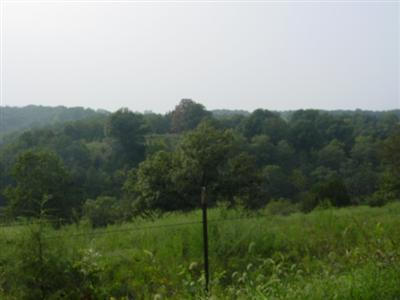 175 Burk Road Highlandville, MO 65669 - Photo 1 of 1 Burk1