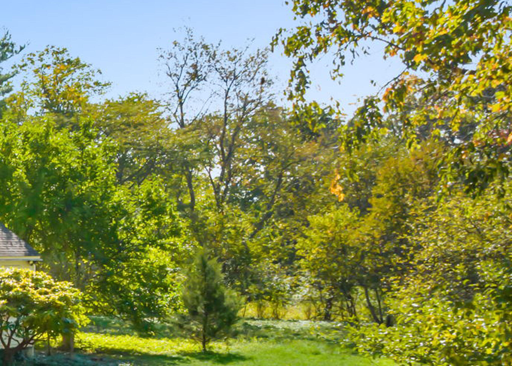 97 Marvin Ridge Road New Canaan, CT 06840 - Photo 41 of 42 land 2