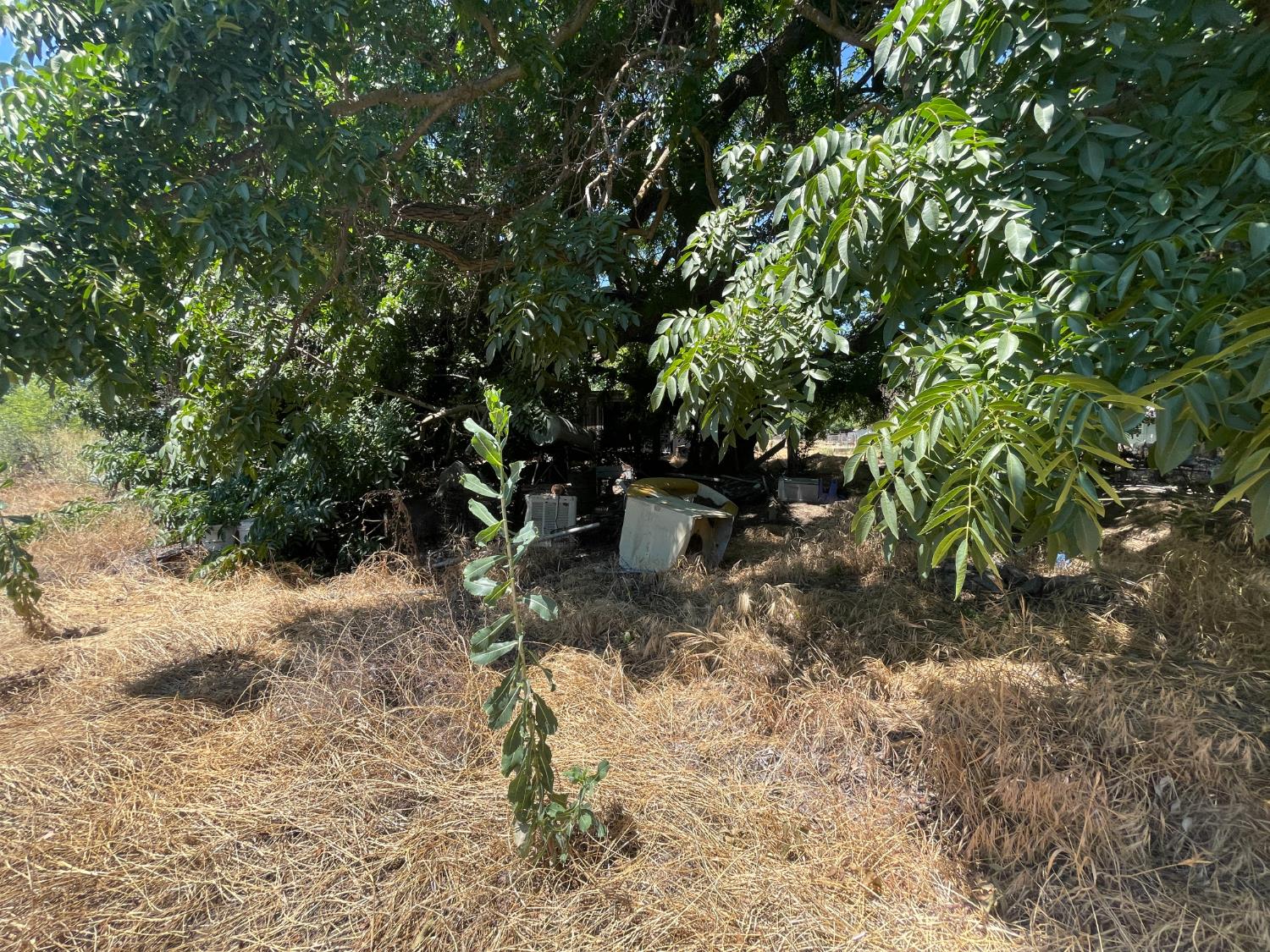2547 Venice Road Williams, CA 95987 - Photo 13 of 18
