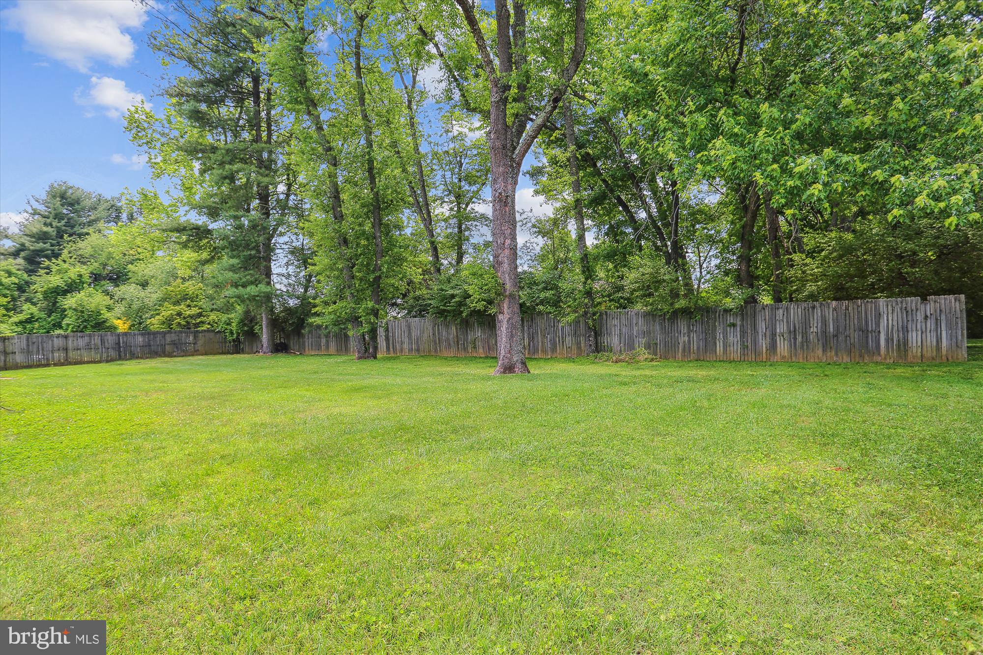 2017 Kings House Road Silver Spring, MD 20905 - Photo 3 of 95 Back Yard