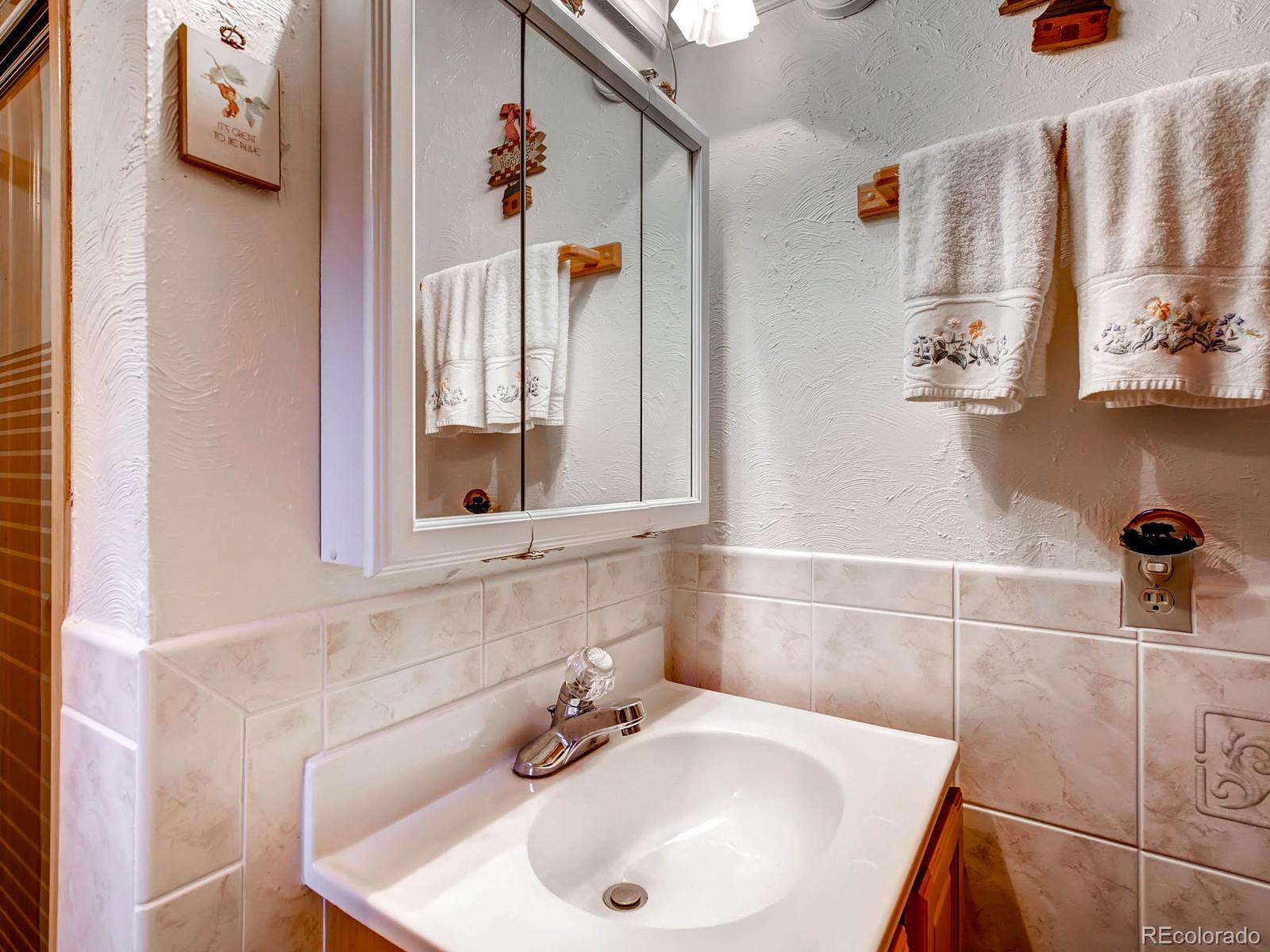 91 Quiner Gulch Road Bailey, CO 80421 - Photo 17 of 27 Gallery Image 17