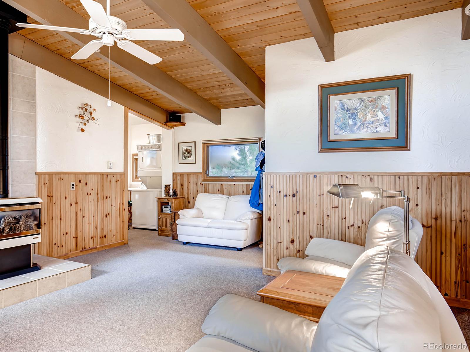 91 Quiner Gulch Road Bailey, CO 80421 - Photo 5 of 27 Gallery Image 5