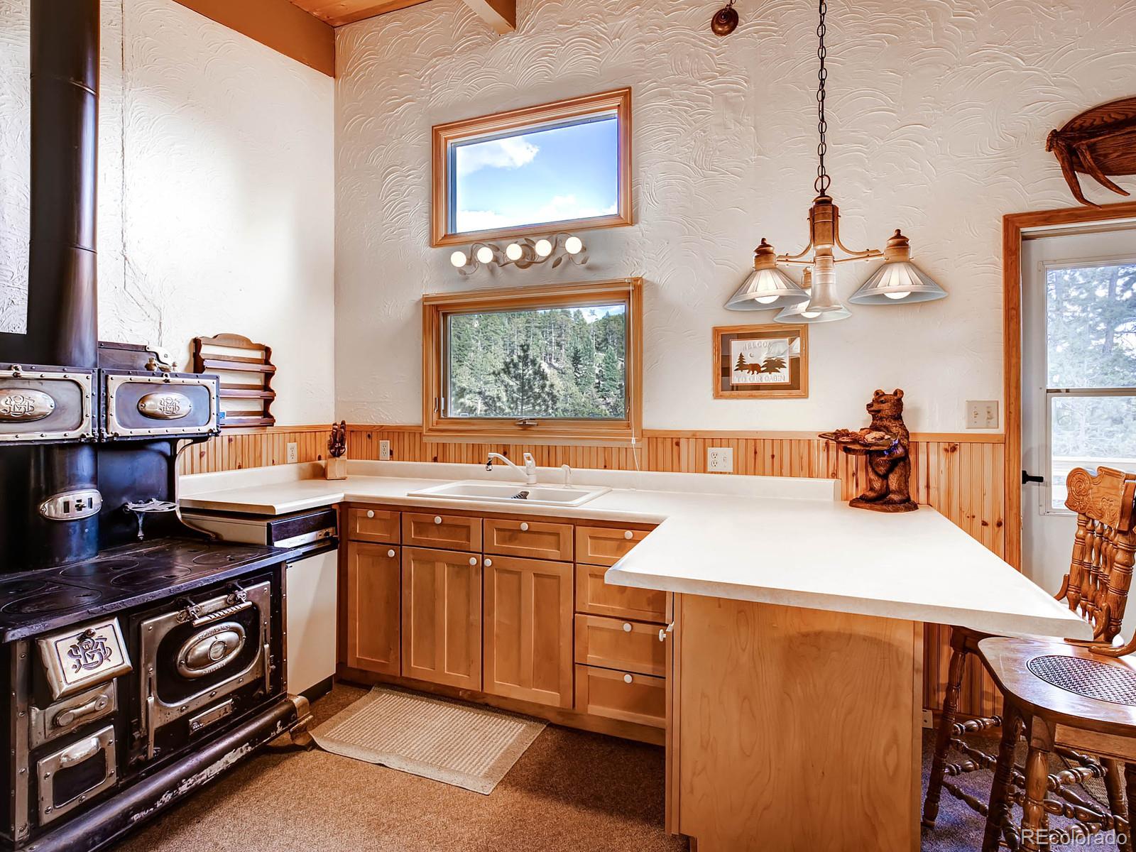 91 Quiner Gulch Road Bailey, CO 80421 - Photo 8 of 27 Gallery Image 8
