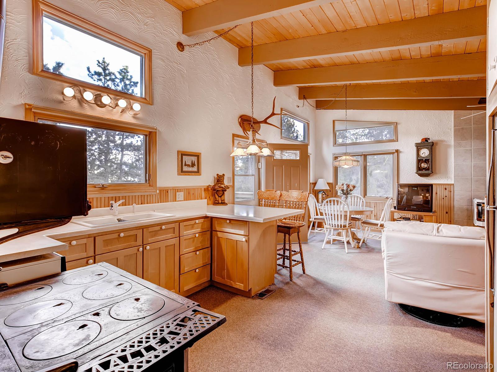 91 Quiner Gulch Road Bailey, CO 80421 - Photo 9 of 27 Gallery Image 9