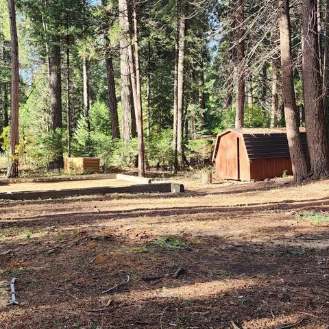 a view of a yard with trees