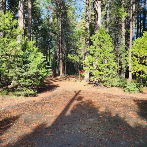 $55,500 | 9371 Mountain Meadow Road, Shingletown, CA 96088