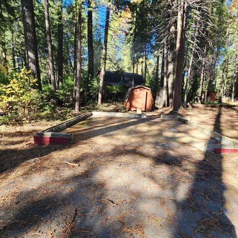 a view of a yard with trees