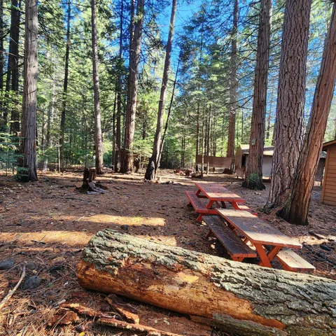 a view of a house with backyard and trees