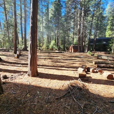 a view of a street with a trees