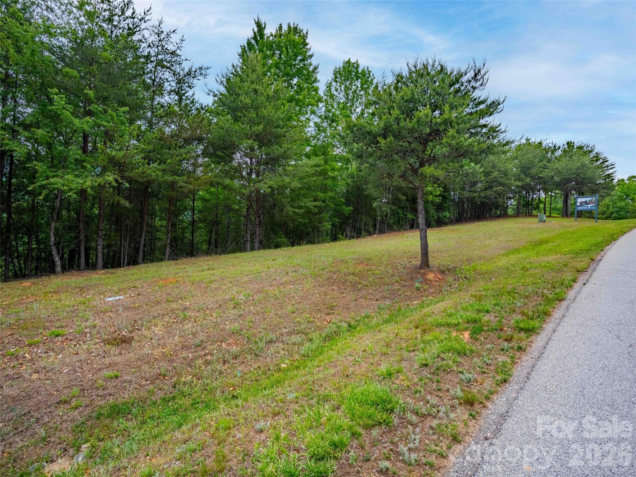 38 West Deep Gap Farm Road, Unit 38 Mill Spring, NC 28756 - Photo 2 of 20 a backyard of a house with lots of green space