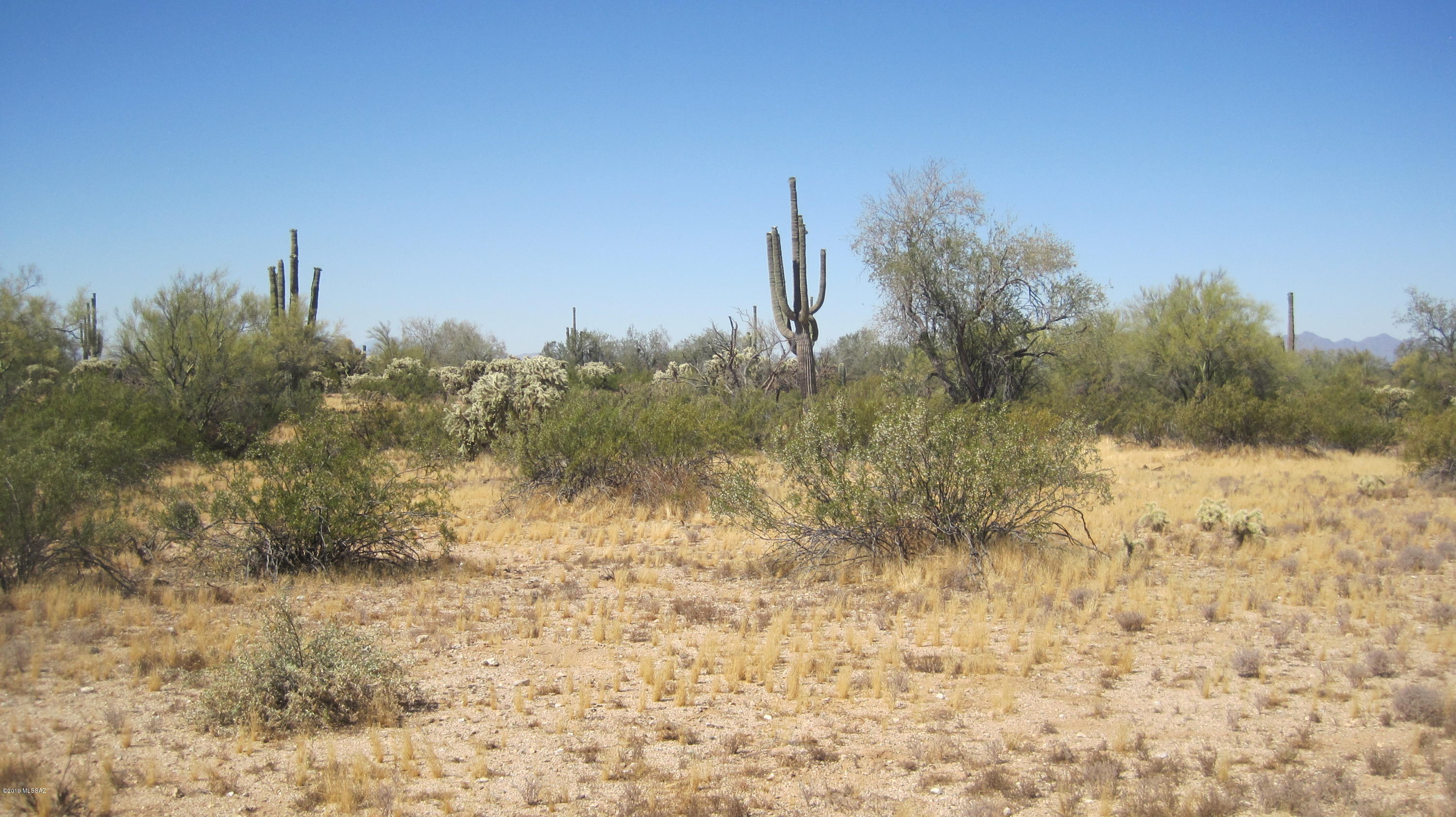 Oo South Cattle Tank Road, Unit 7 5 AC Marana, AZ 85658 - Photo 8 of 22
