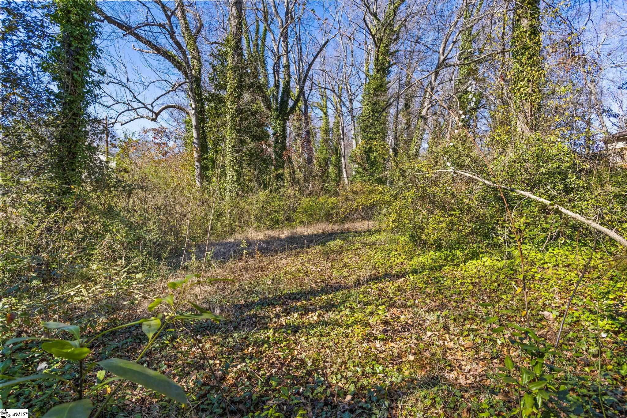 114 Mayfair Drive Taylors, SC 29687 - Photo 19 of 21