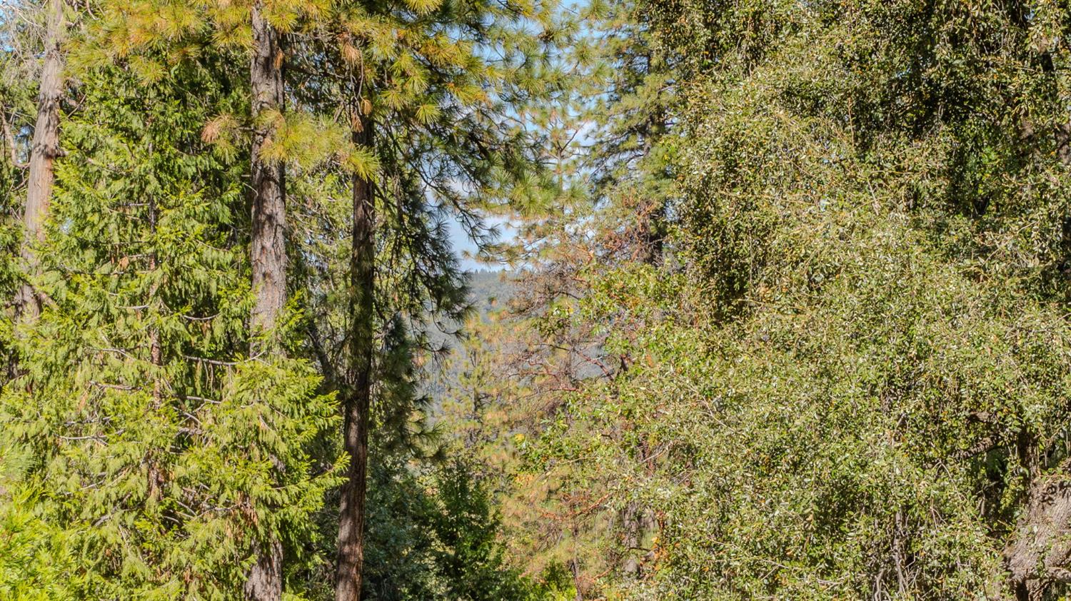 11456 Gold Strike Road Pine Grove, CA 95665 - Photo 11 of 24 Gallery Image 11