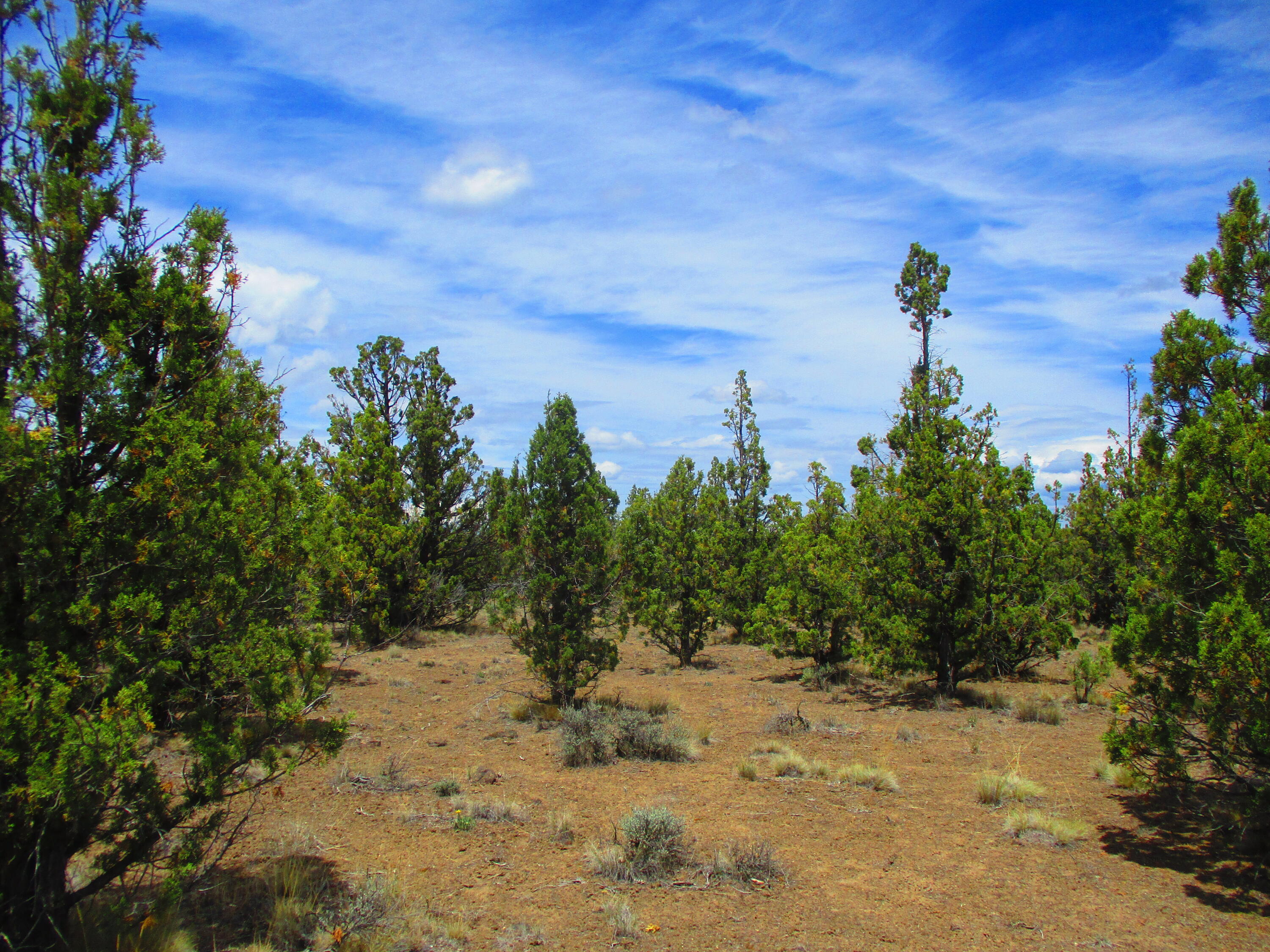 Tl7100 Southeast Cayuse Road Prineville, OR 97754 - Photo 6 of 12 6