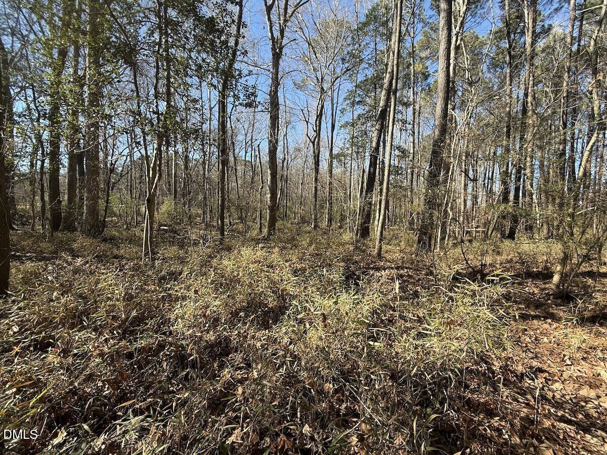 1012 South Halifax Road Rocky Mount, NC 27803 - Photo 33 of 41 a view of backyard with green space