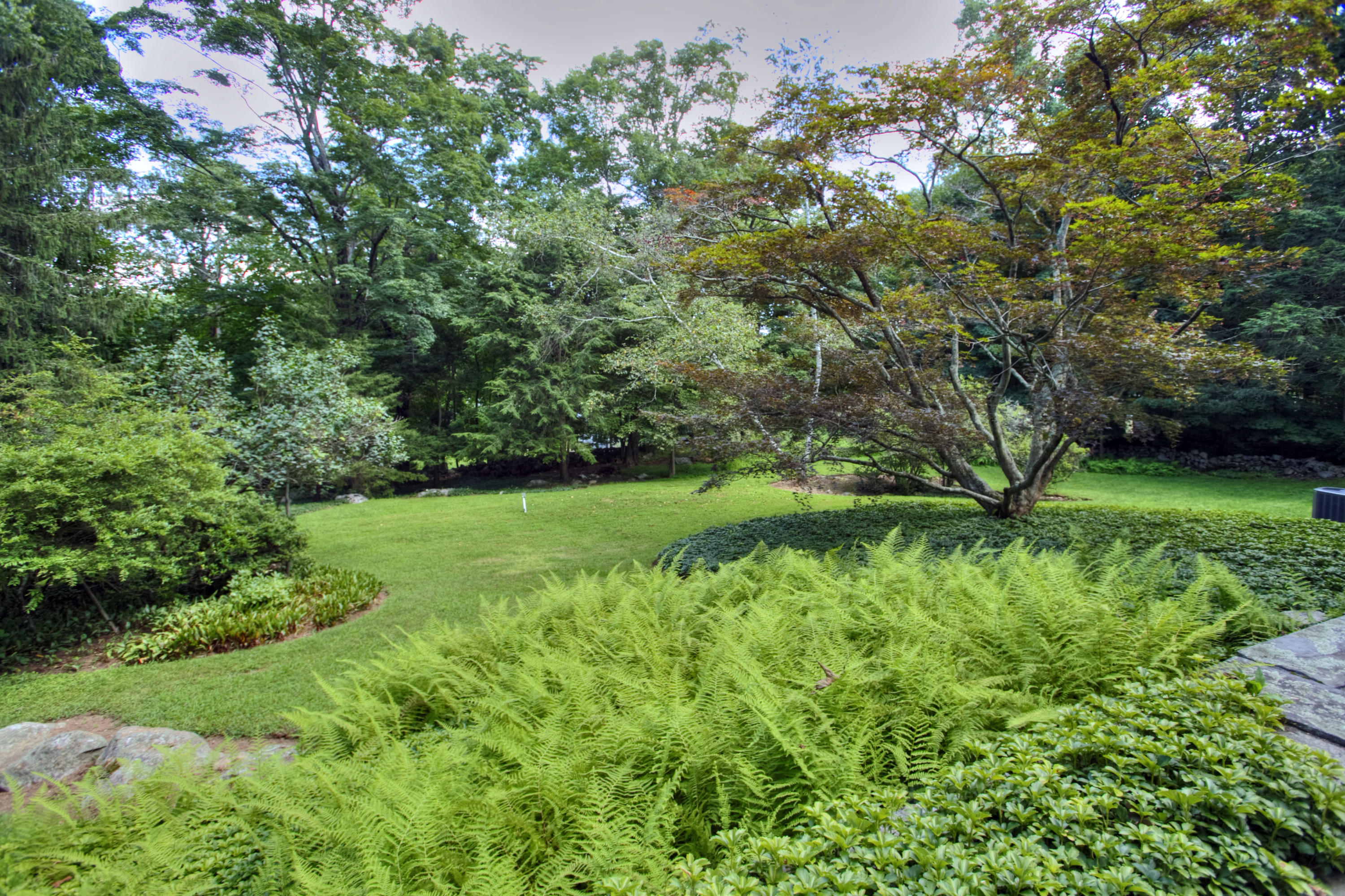 1006 Silvermine Road New Canaan, CT 06840 - Photo 33 of 39 a view of a garden with a tree