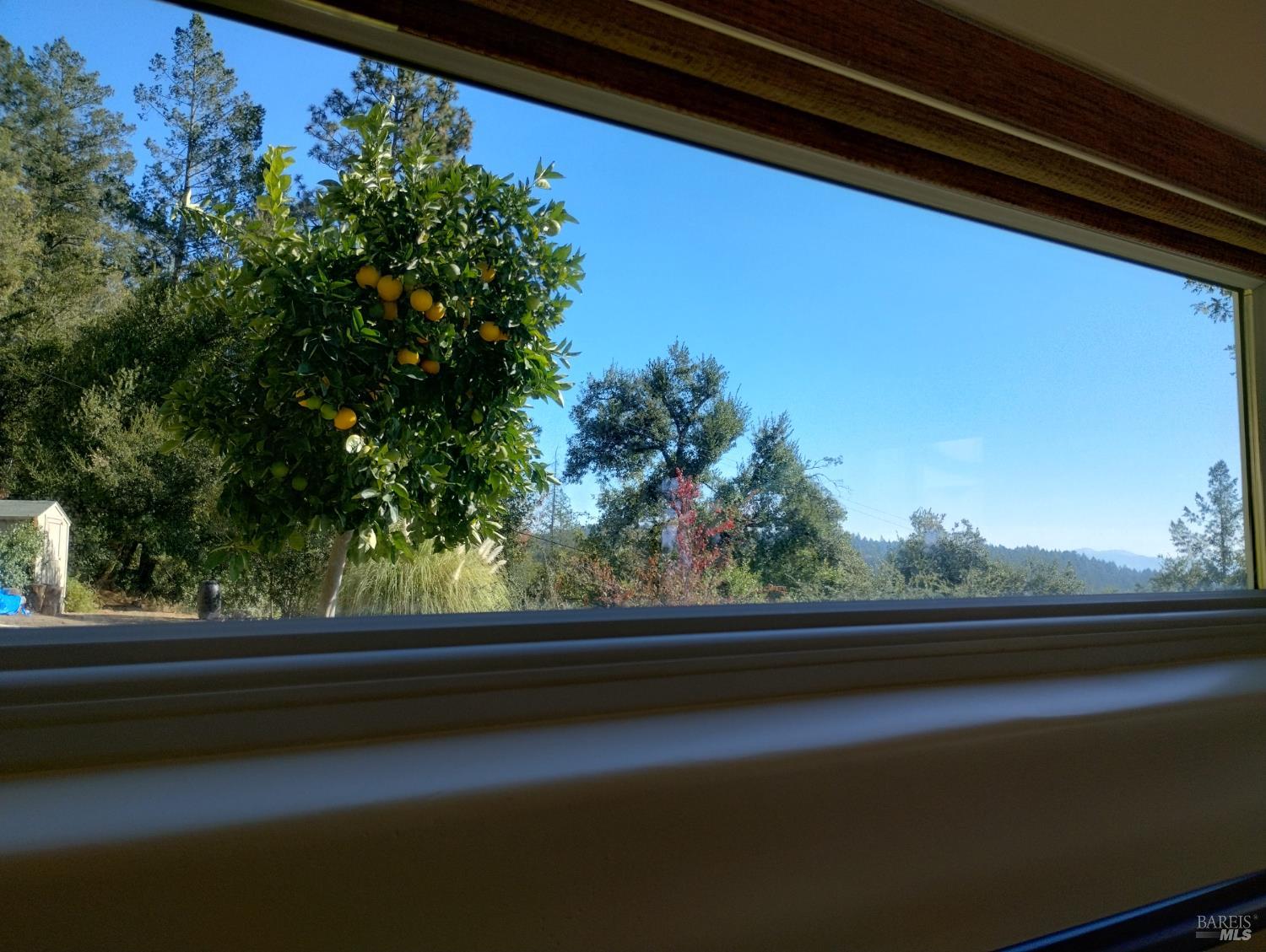 460 Bella Vista Drive Angwin, CA 94508 - Photo 49 of 58 462 Bedroon One East Window