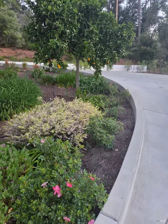 $1,895,000 | 460 Bella Vista Drive, Angwin, CA 94508