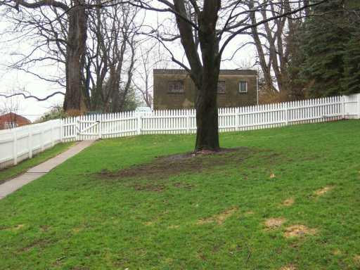 104 Parise Road Forest Hills, PA 15221 - Photo 5 of 8 Other.