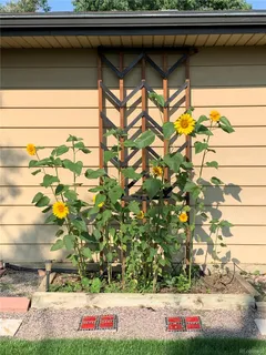 a view of a lake with a mountain
