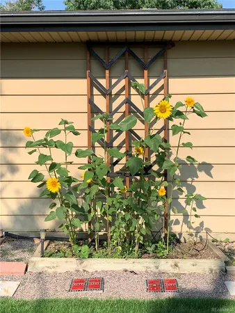 a view of a lake with a mountain