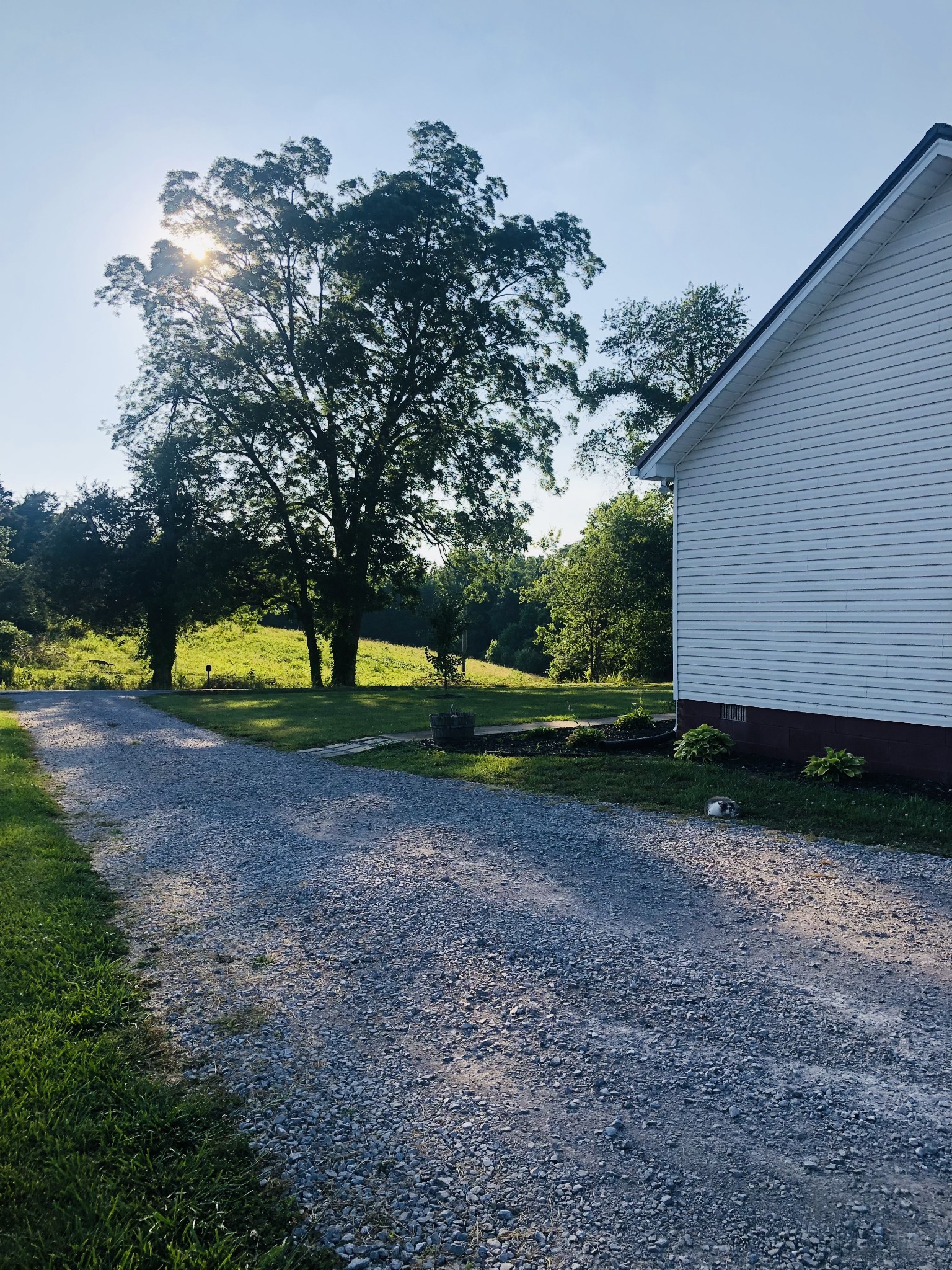 1075 Oak Grove Road Goodspring, TN 38460 - Photo 13 of 38 a view of backyard with green space