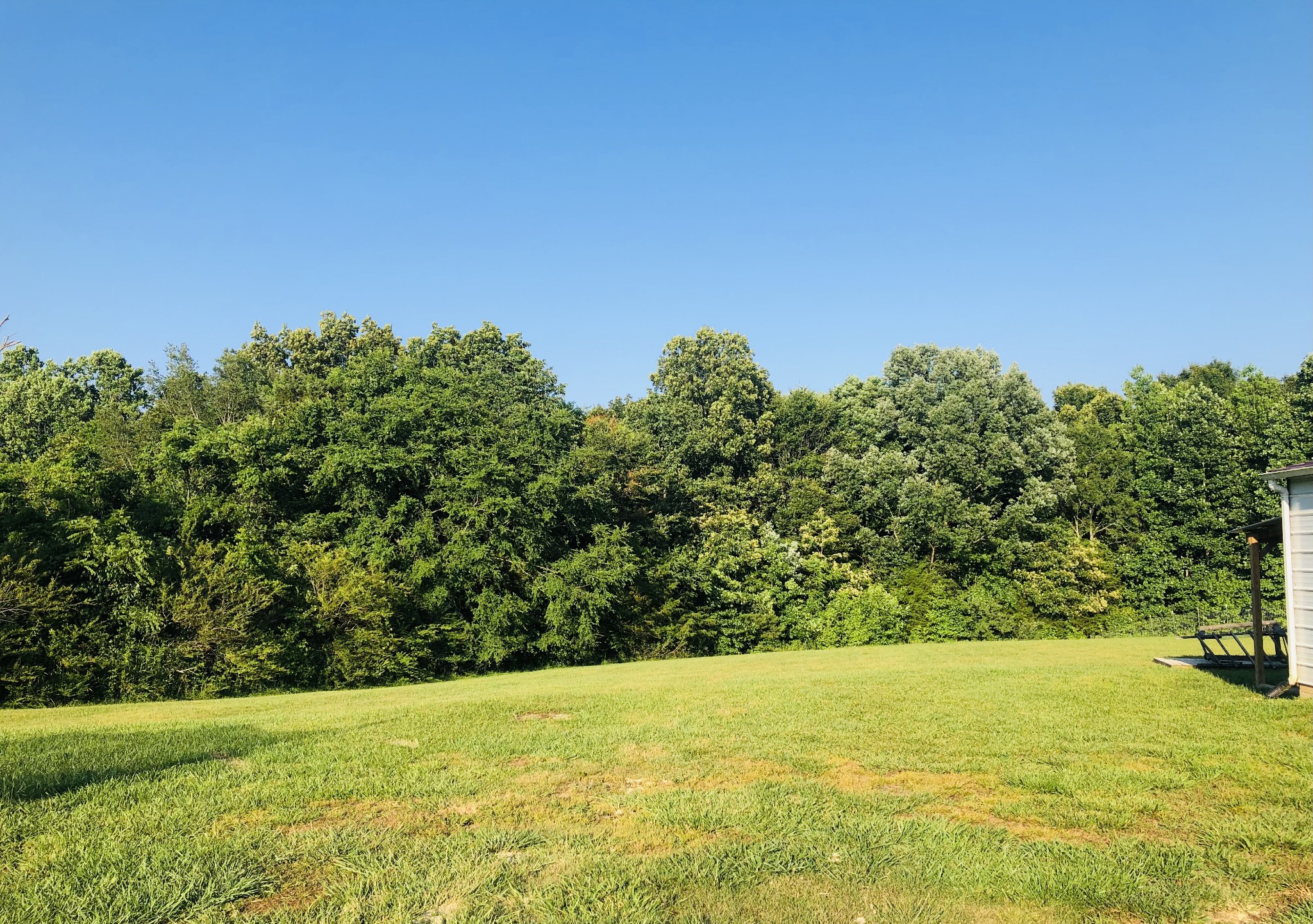 1075 Oak Grove Road Goodspring, TN 38460 - Photo 8 of 38 a view of yard with swimming pool and green space